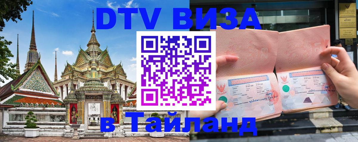 Оформление DTV визы под ключ: стоимость и тарифы, только загранпаспорт - 